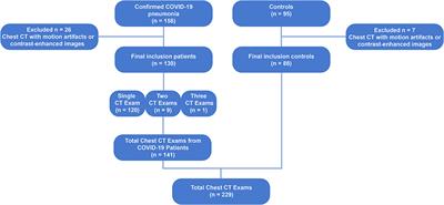 COVID-19 Chest Computed Tomography to Stratify Severity and Disease Extension by Artificial Neural Network Computer-Aided Diagnosis